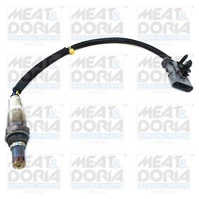 Oxygen Sensor